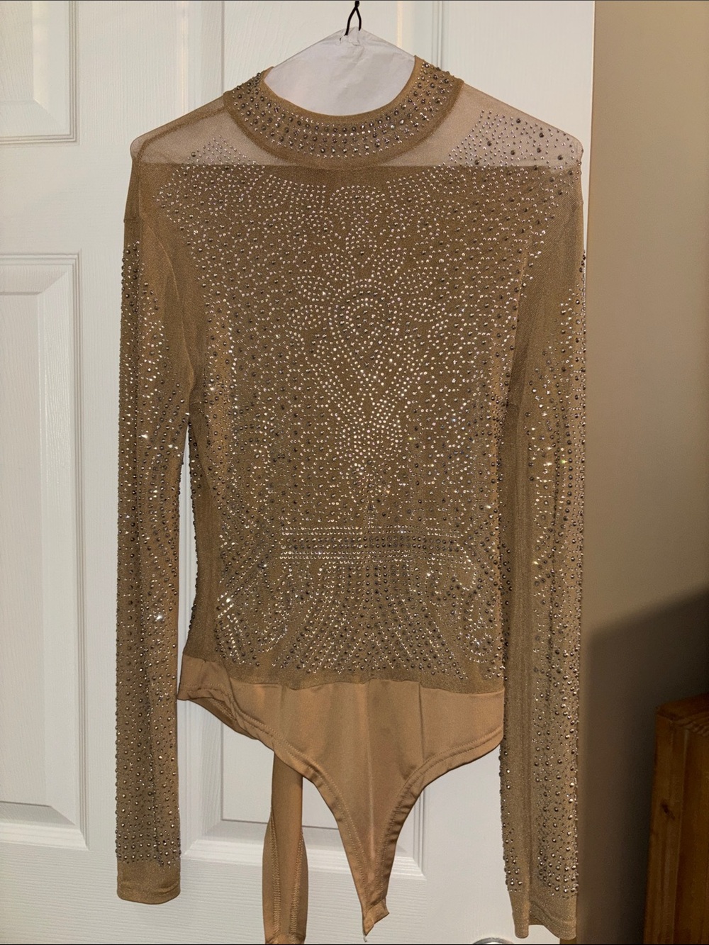 Embellished Sheer Long-Sleeve Bodysuit in Nude